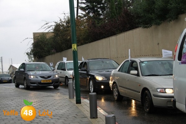 qafela sayarat haiywa (29).JPG